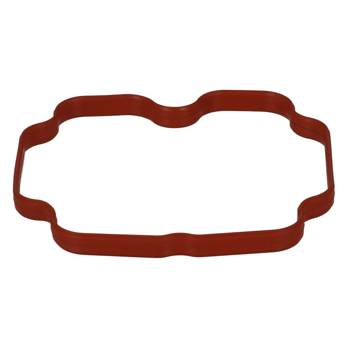 Intake Manifold Gasket - BMW