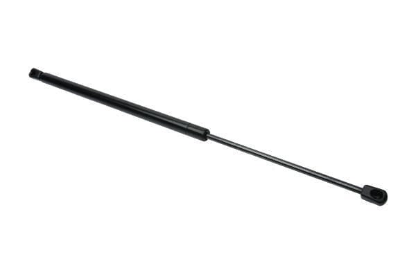 Hatch Strut