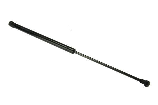 Hatch Strut