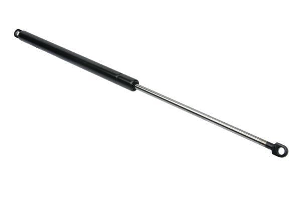 Trunk Strut