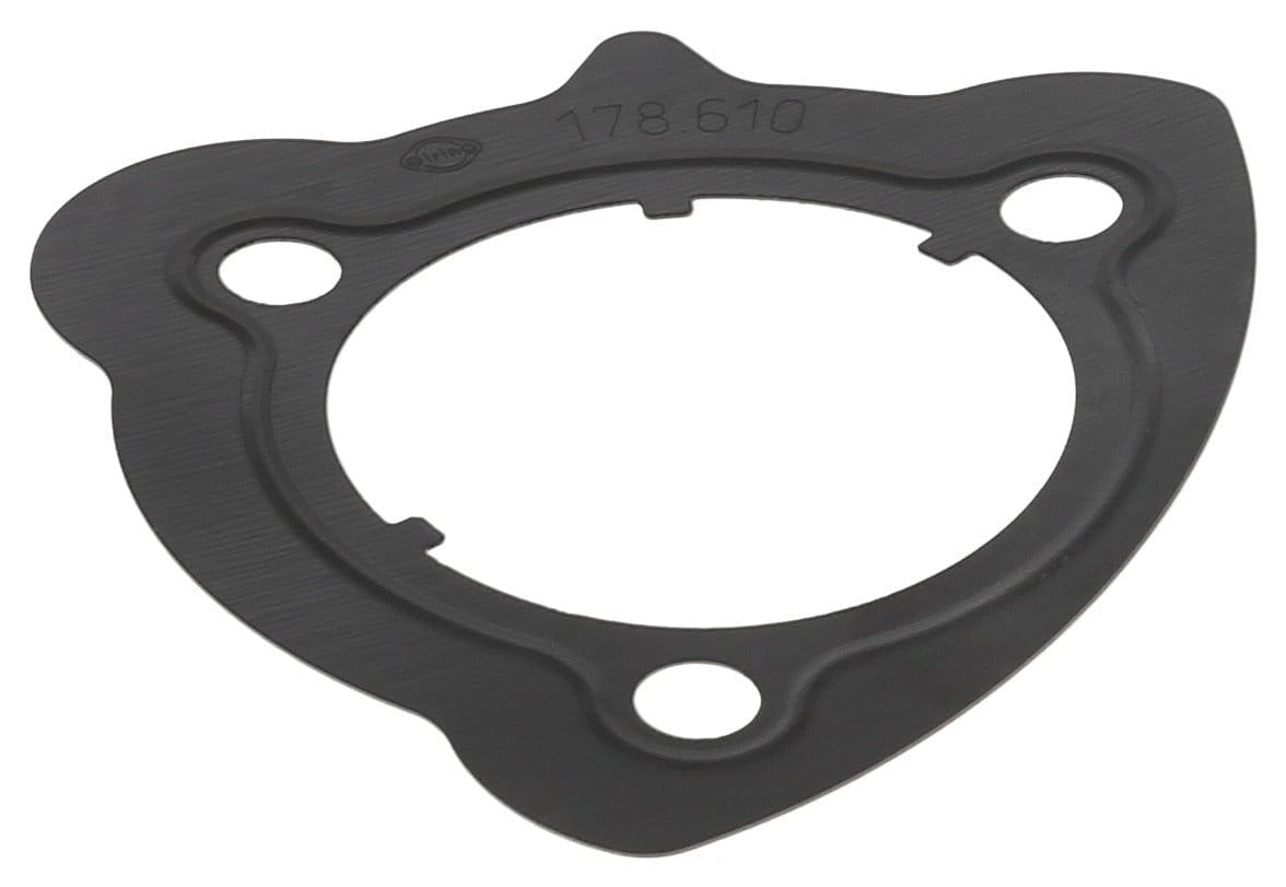 Vacuum Pump Gasket - BMW