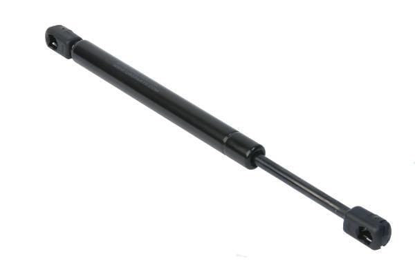 Trunk Strut