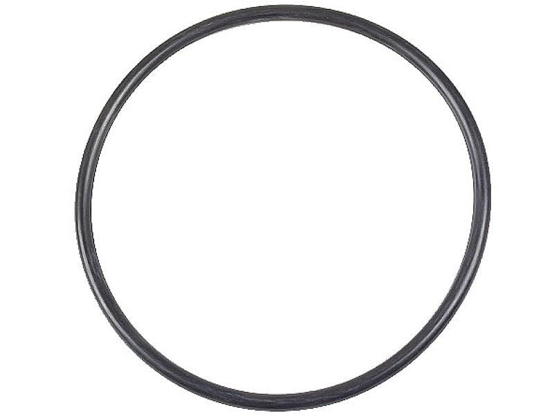 Oil Filter O-Ring - BMW (many models check fitment)