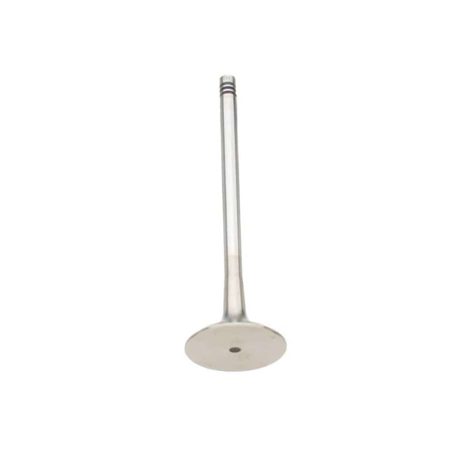 Exhuast Valve - BMW E34 / E36 / E39 / E46 / Z3 (many models check fitment)