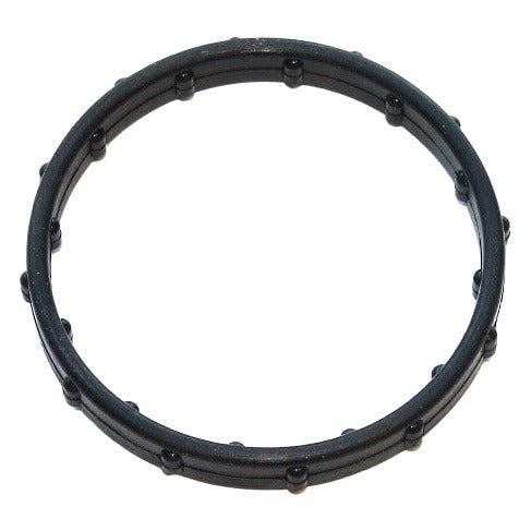 Water Pipe Gasket - VW/Audi