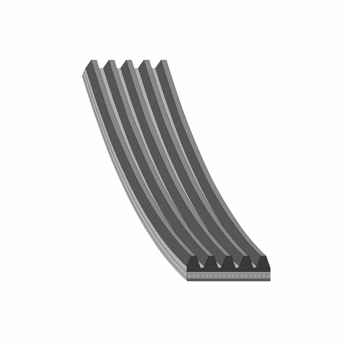 Auxiliary Belt - BMW