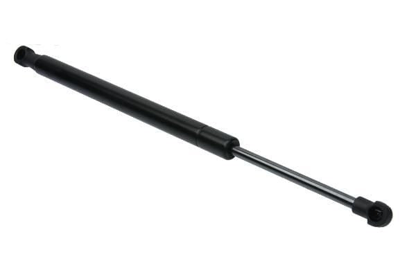 Trunk Strut