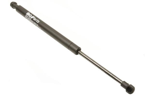 Trunk Strut