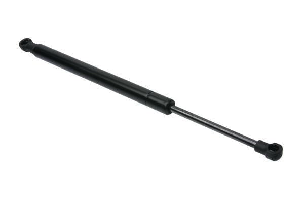Trunk Strut