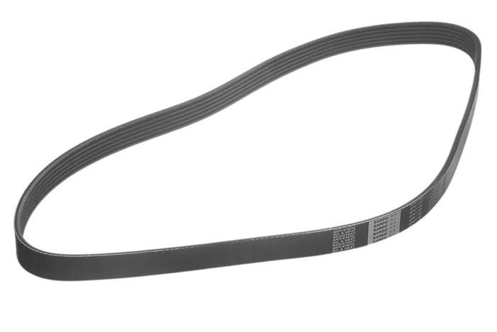 Accessory Belt - VW/Audi (many models check fitment)