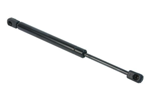 Trunk Strut