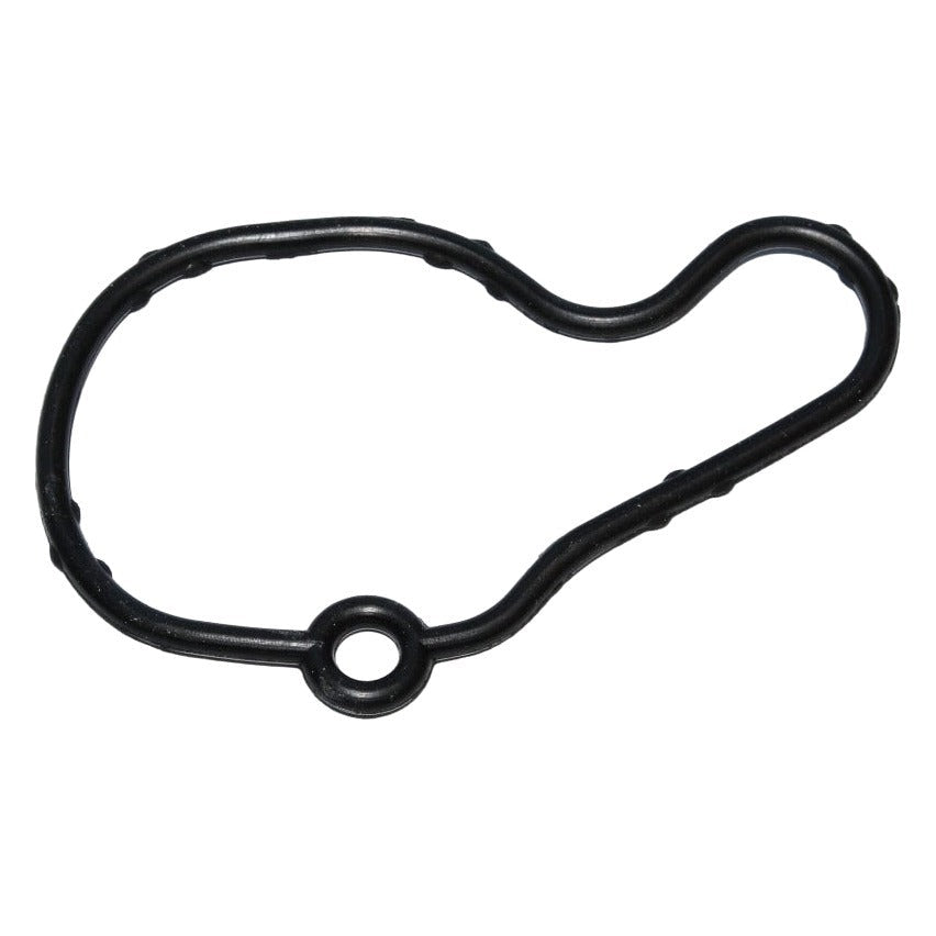 Vacuum Pump Gasket - VW/Audi