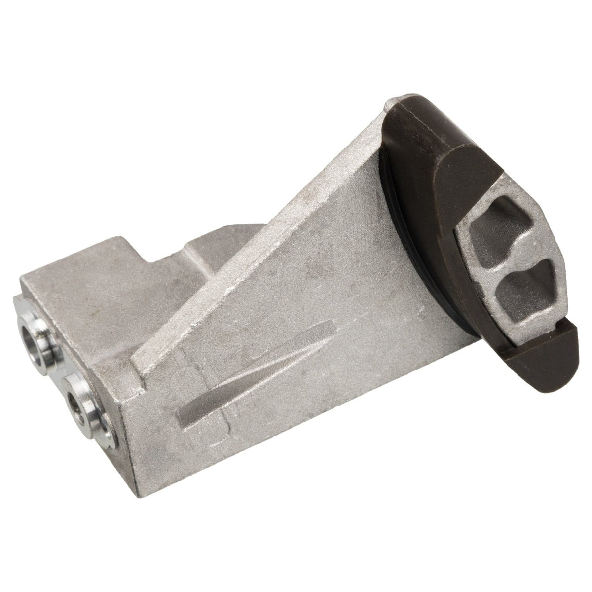 Guide Rail For Timing Chain - BMW