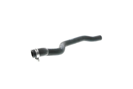 Radiator Hose - BMW