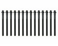 BMW E46 3-Series Cylinder Head Bolt Kit OEM 11121740065