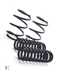 MMX Performance MINI F-Chassis Lowering Spring Set