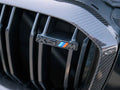 X5M F95 Double Slatted Carbon Fiber Kidney Grilles