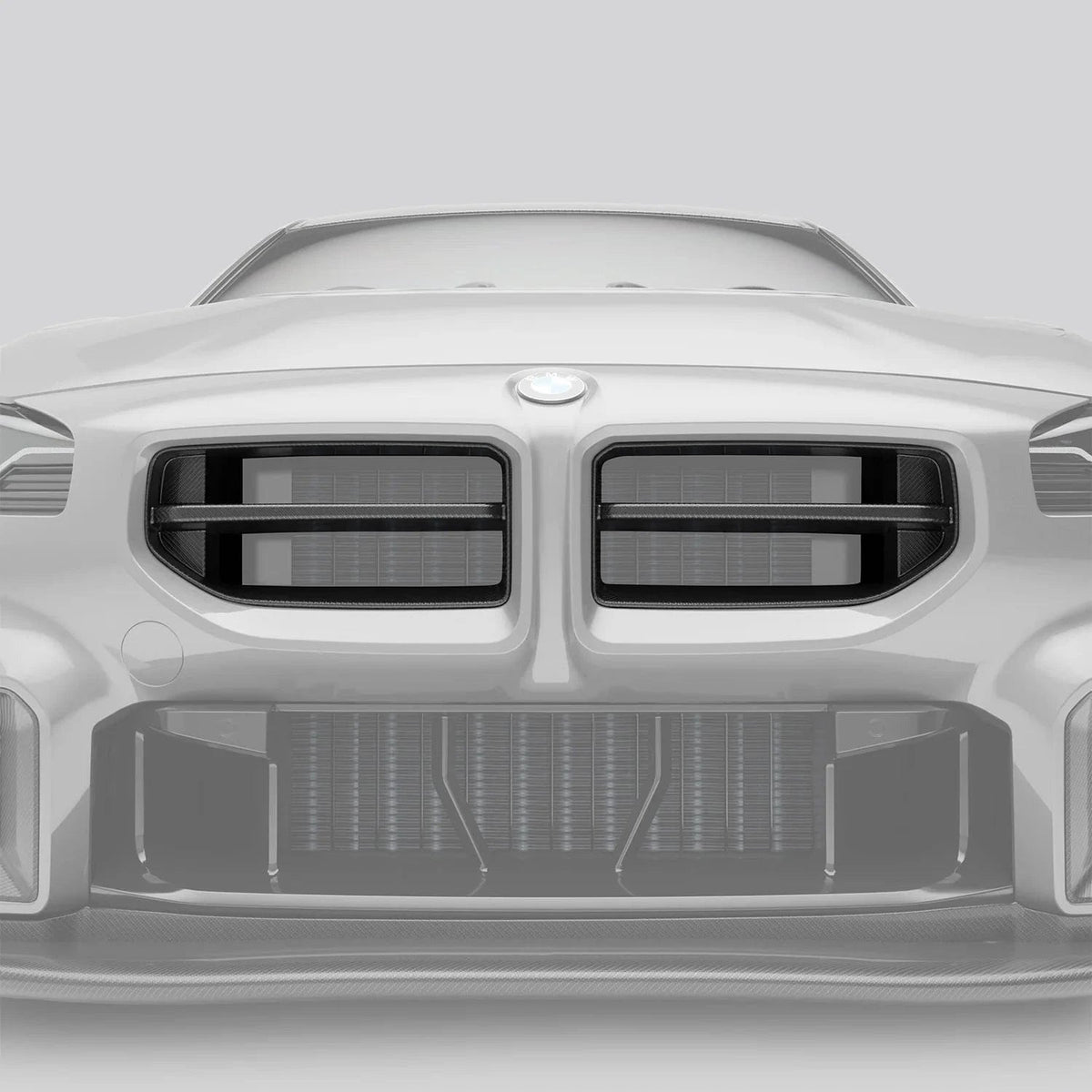 Revozport Carbon Fiber Front Grill for BMW G87 M2