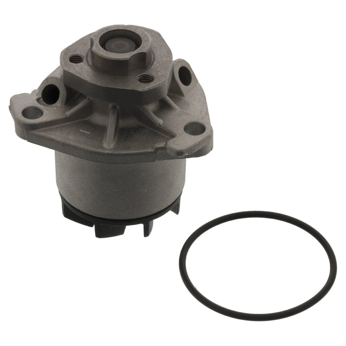 Water Pump with Sealing Ring - VW/Audi