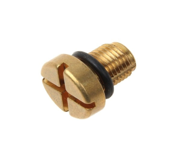 BMW E53 X5 Brass Coolant Bleeder Screw 17111712788