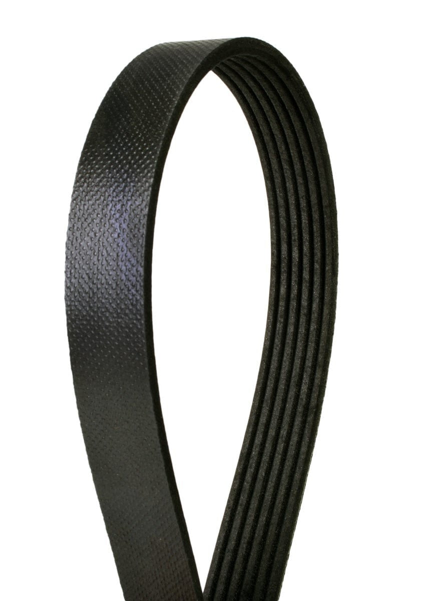 Multi-V Belt - BMW
