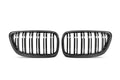 2 Series F22 Double Slat Dry Carbon Fiber Grill