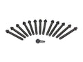 BMW E39 5-Series Cylinder Head Bolt Kit 1997-08/1998 By Reinz
