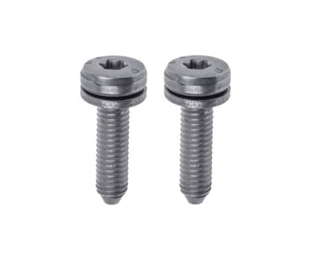 BMW E46 3-Series Automatic Transmission Pan Bolt Set of 2 OEM (A5S 325Z) 24101423273