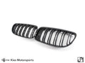 2009-2011 BMW 3 Series (E90) LCI Double Slatted Kidney Grilles