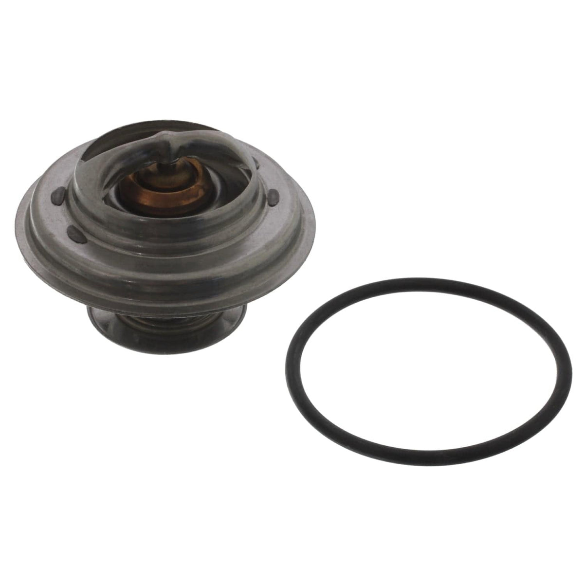 Thermostat with Sealing Ring - BMW