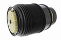 Air Spring Strut - Mercedes