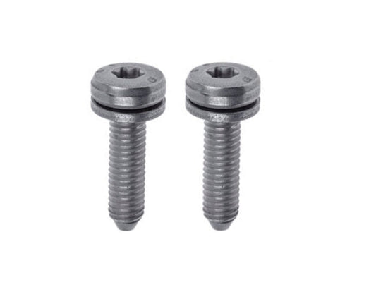 BMW E46 3-Series Automatic Transmission Pan Bolt Set of 2 OEM (A5S 325Z) 24101423273