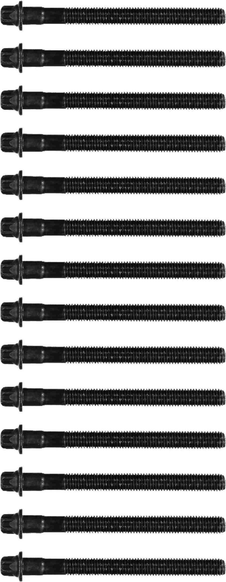BMW E39 5-Series Cylinder Head Bolt Kit OEM 11121740065 (09/1998-2003)