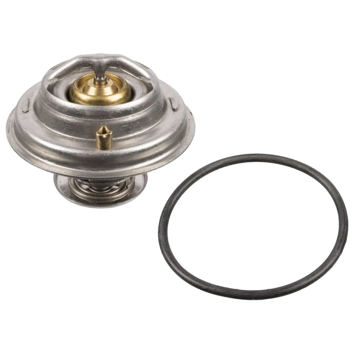 Thermostat with Sealing Ring - VW/Audi