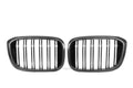 X3/X4 G01/G02/G08 Pre-LCI Double Slat Dry Carbon Fiber Grill
