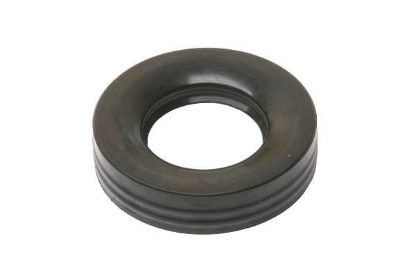 Spark Plug Seal - MINI