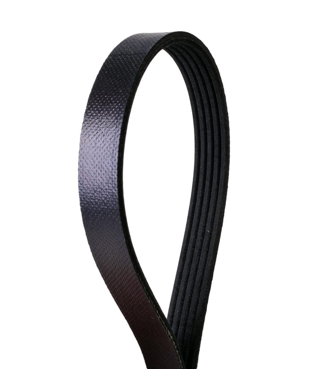 Multi-V Belt - VW/Audi
