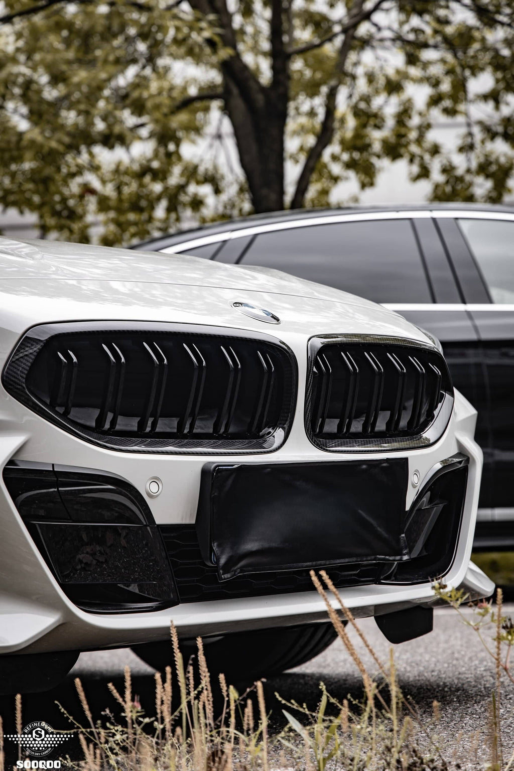 20+ Z4 G29 Double Slat Dry Carbon Grill