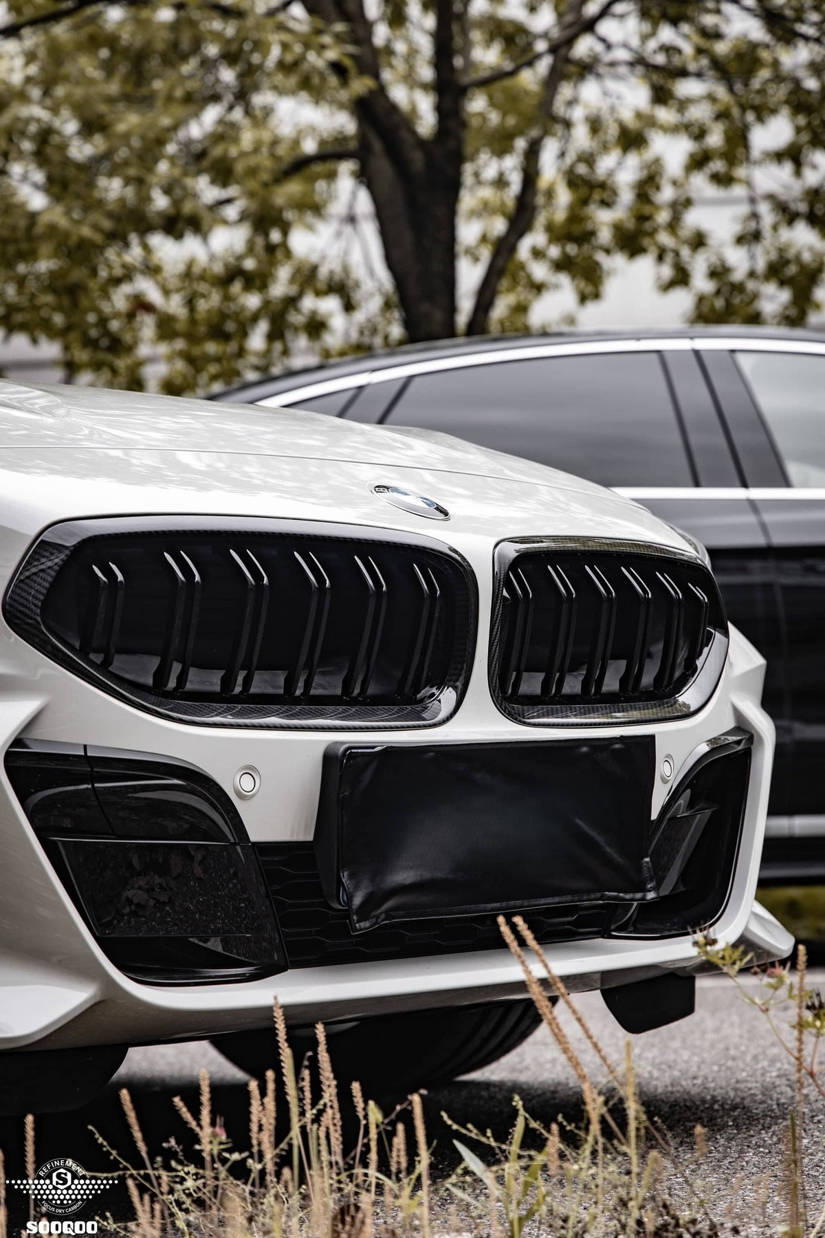 20+ Z4 G29 Double Slat Dry Carbon Grill