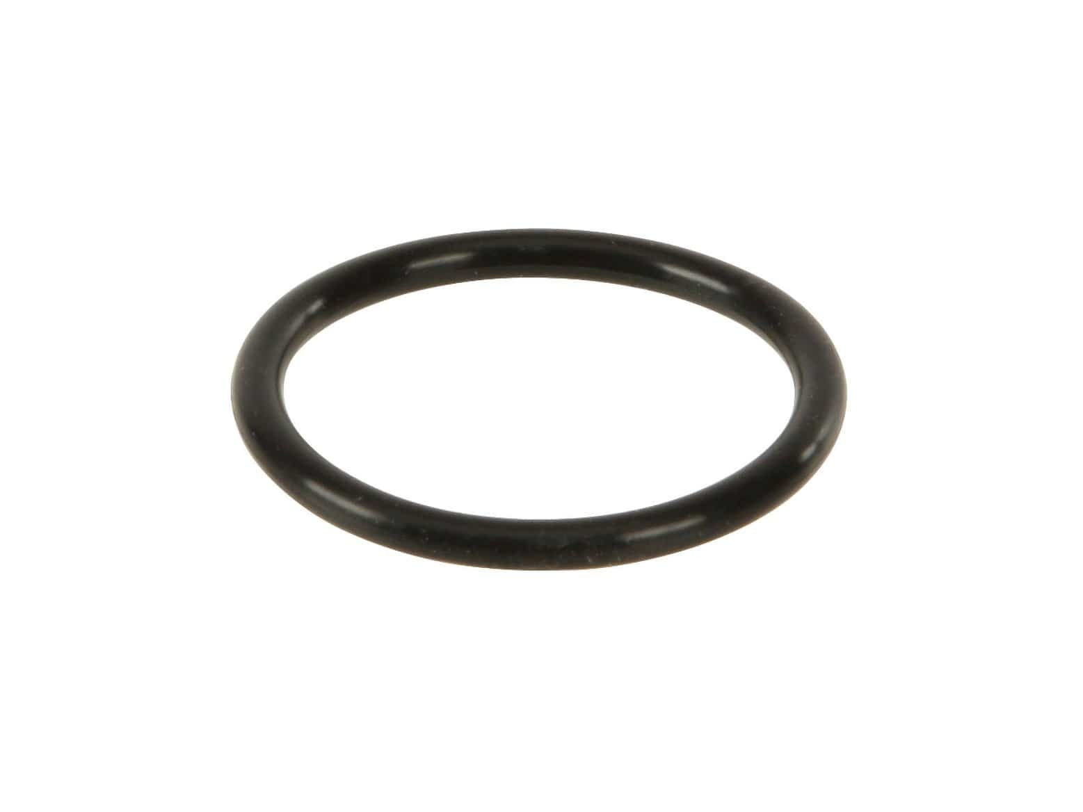 Water Pump O Ring - MINI Cooper / S / JCW / R52 / R53