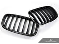 AutoTecknic Carbon Fiber Front Grille Set - BMW E70 X5 | X5M | E71 X6 | X6M