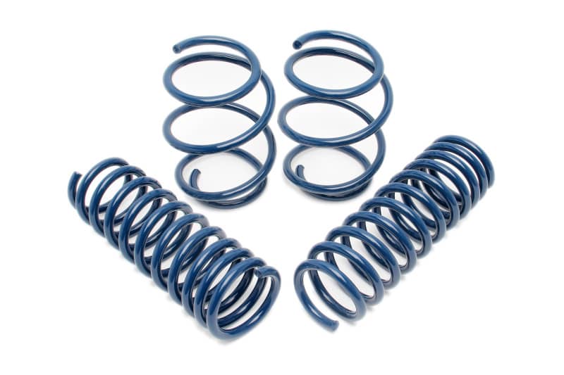 Dinan 00-03 BMW M5 (E39) Performance Spring Set