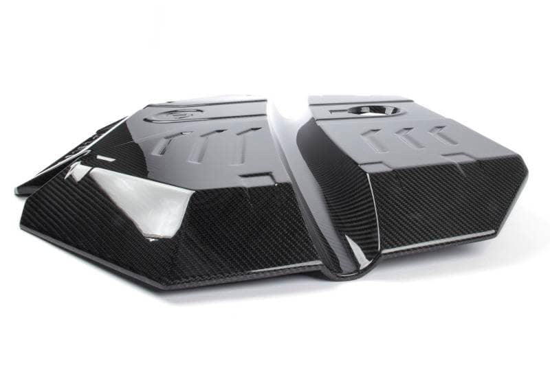 Dinan 20-25 BMW X3 M/X4 M (F97/F98) Carbon Fiber Engine Cover