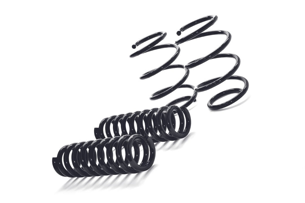 MMX Performance MINI F-Chassis Lowering Spring Set