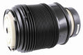 Air Spring Strut - Mercedes