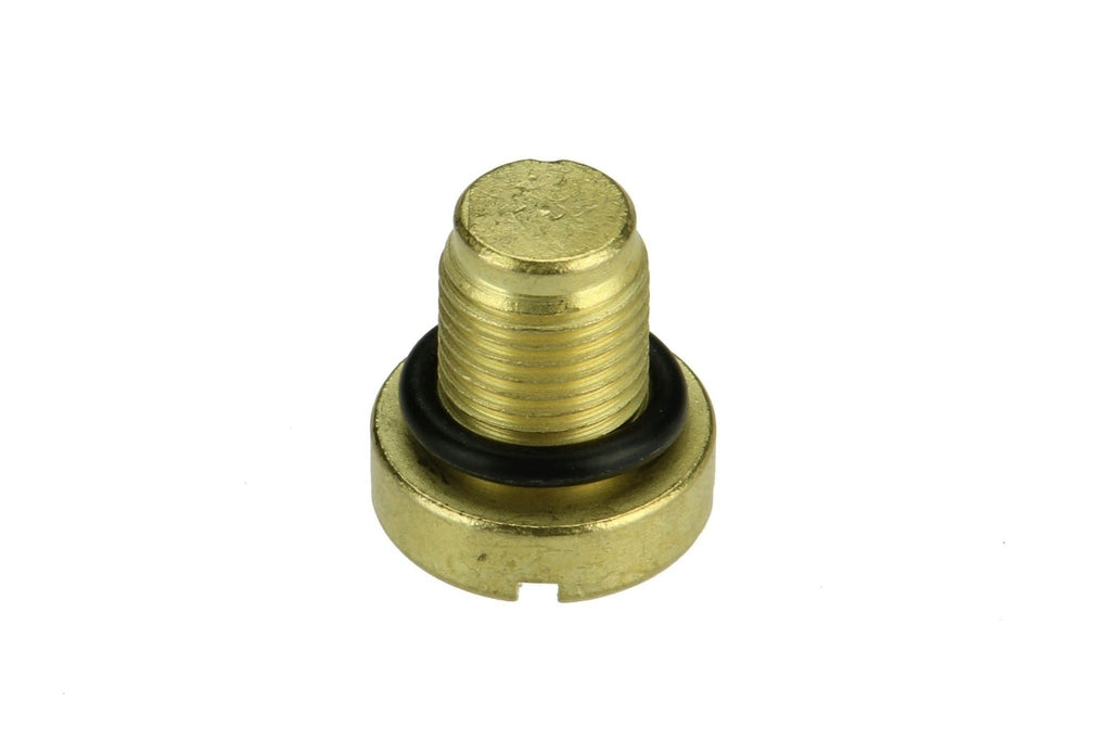 BMW E39 5-Series Brass Coolant Bleeder Screw 17111712788