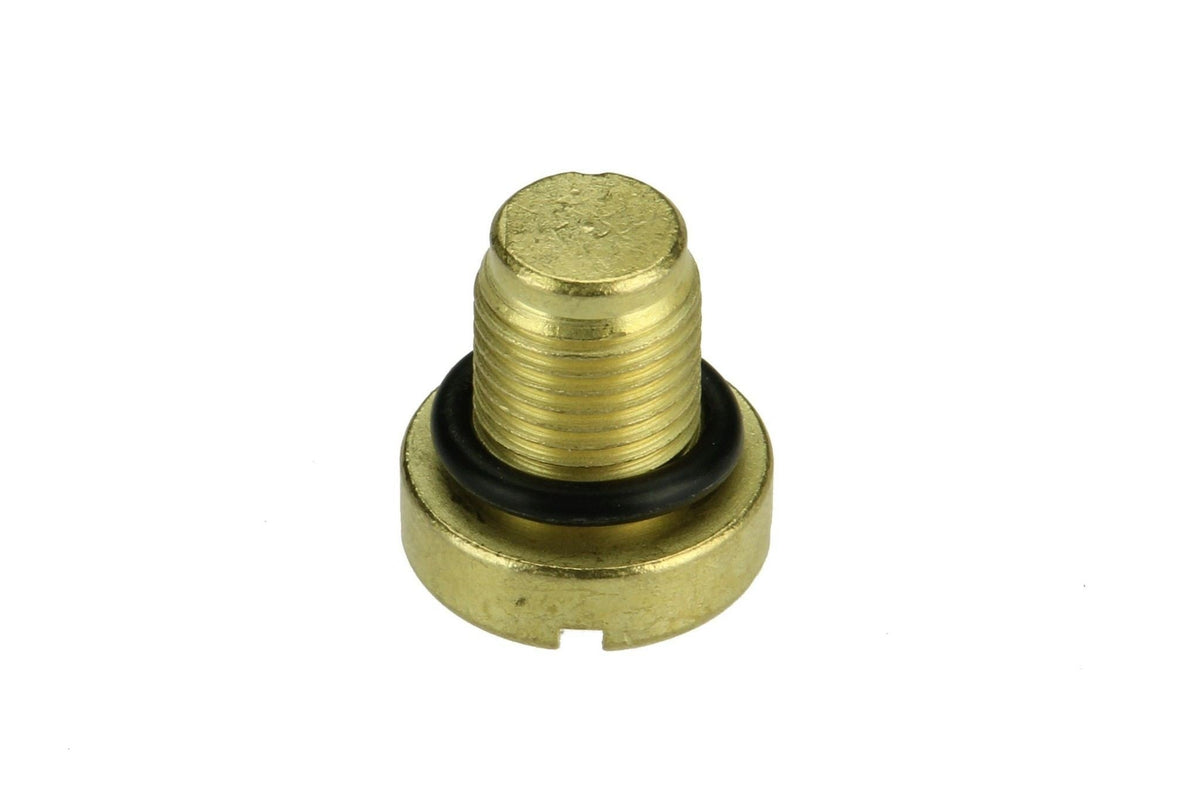 BMW E39 5-Series Brass Coolant Bleeder Screw 17111712788