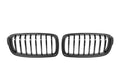 3 Series F30/F31/F35 Single Slat Dry Carbon Fiber Grill