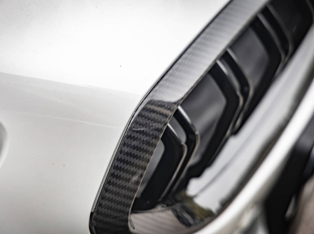 20+ Z4 G29 Double Slat Dry Carbon Grill