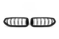 20+ Z4 G29 Double Slat Dry Carbon Grill